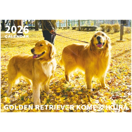 【予約販売】 コメ&イクラ ゴールデンレトリバー 犬 2026年 壁掛け カレンダー KK26285