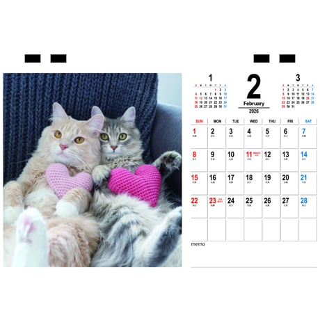 【予約販売】 nocoa家の猫たち 2026年 卓上カレンダー TC26116