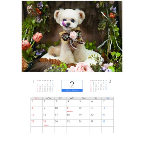 【予約販売】 トイプードルのクレマ 犬 2026年 壁掛けカレンダー KA26072
