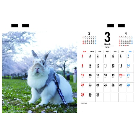 【予約販売】 バムちゃん うさぎ 2026年 卓上カレンダー TC26112