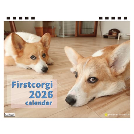 【予約販売】 初めてのコーギー 犬 2026年 卓上カレンダー TA26179