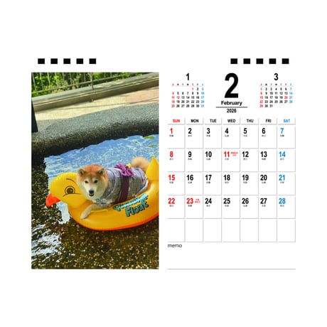 【予約販売】 柴犬 小雨 2026年 卓上半面 カレンダー TA26006