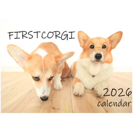 【予約販売】 初めてのコーギー 犬 2026年 壁掛けカレンダー KA26178