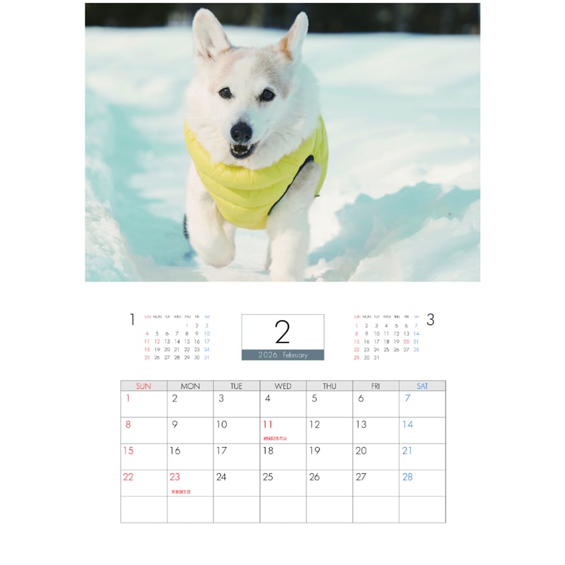 予約販売】 ノエル&モナ コーギー 犬 2026年 壁掛け カレンダー