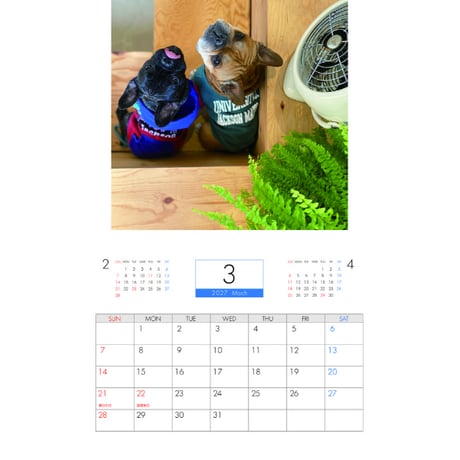 【予約販売】 トーラスとジュニパー フレンチブルドッグ 犬 2027年 壁掛け カレンダー KK27034