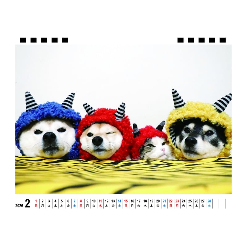 予約販売】 柴犬 モカ＆アン＆サラ 2026年 卓上カレンダー TA26083