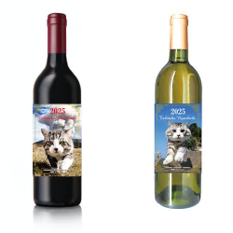 にゃん吉ページ にゃん吉ページ にゃん吉【公式】Nyankichi (@cat_nyankichi) / X