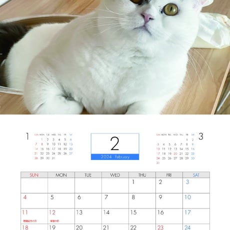 【予約販売】 猫のちょみぱおぷー 2024年 壁掛け カレンダー KK24316
