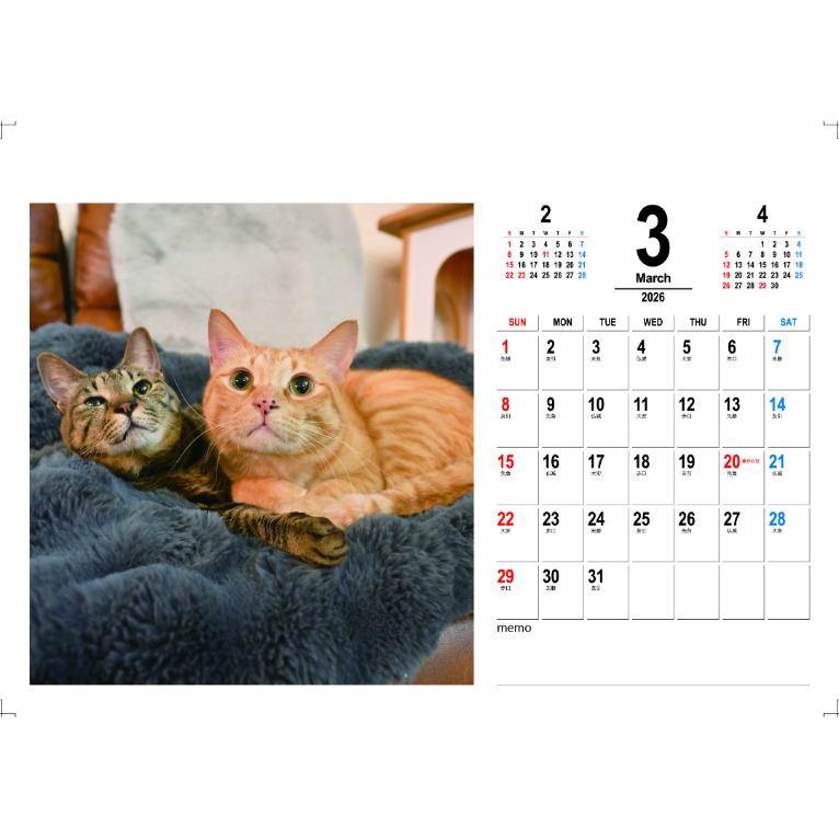 予約販売】 吾輩は猫ニートである。 2026年 卓上 カレンダー TC26348