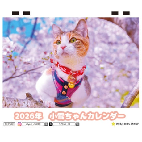 【予約販売】 小雪ちゃん 猫 2026年 卓上半面 カレンダー TC26016