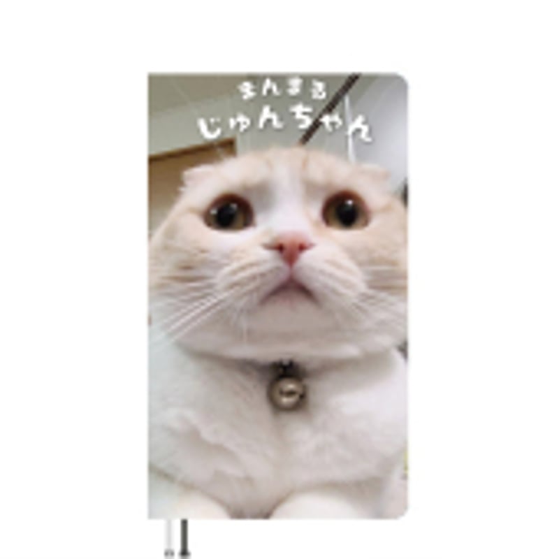 犬猫コミックエッセイまとめ売り AKR エッセイ漫画「黒猫ろんと暮らしたら2」 | 奈良の愛らしい猫