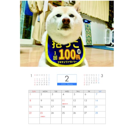 【予約販売】 白柴ごん太 柴犬 2026年 壁掛け カレンダー KA26012