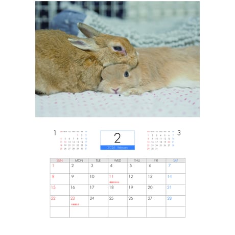 【予約販売】 うさぎの毎日がかんぺい 2026年 壁掛け カレンダー KA26003