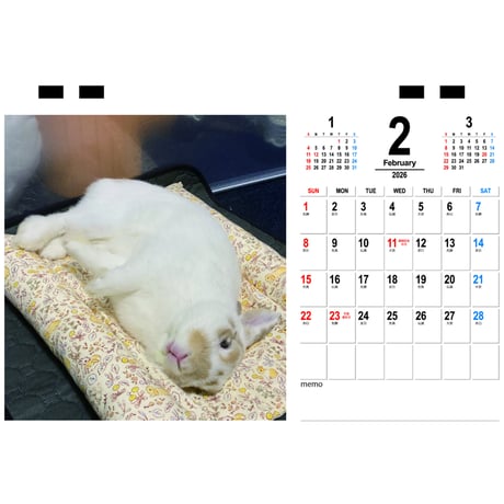 【予約販売】 バムちゃん うさぎ 2026年 卓上カレンダー TC26112
