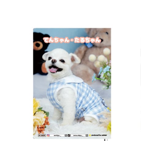【予約販売】 てんちゃん・たるちゃん 犬 2026年 A5スケジュール帳 A526258