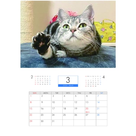 【予約販売】 吾輩は猫ニートである。 2026年 壁掛け カレンダー KA26347