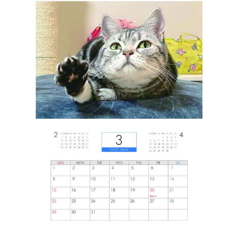 予約販売】 吾輩は猫ニートである。 2026年 壁掛け カレンダー KA26347