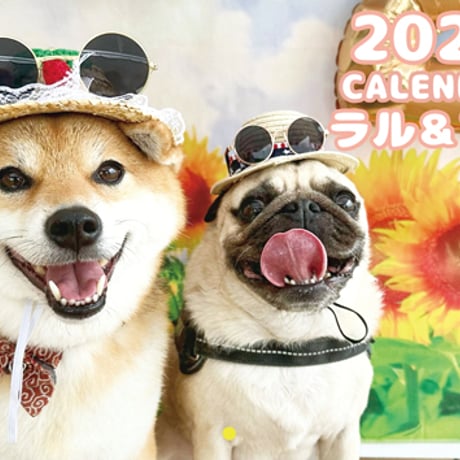 【予約販売】 パグと柴犬のラル＆アキ 2024年 壁掛け カレンダー KK24184