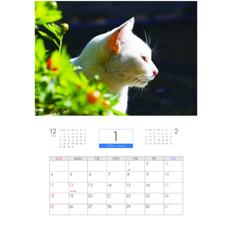 予約販売】 ねこかます 猫 2026年 壁掛け カレンダー KK26049 | ANISTAR