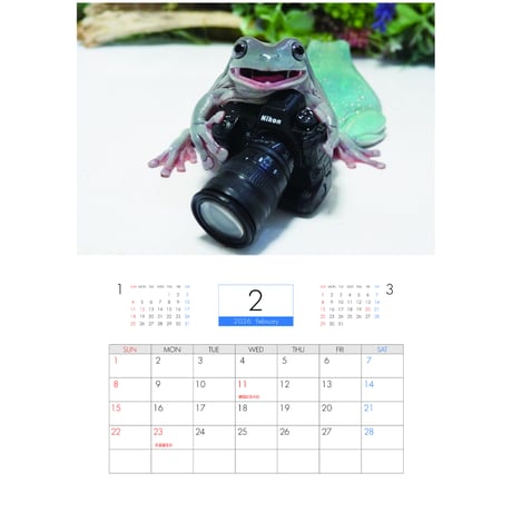 【予約販売】 ぴよのカエル 2026年 壁掛け カレンダー KK26024