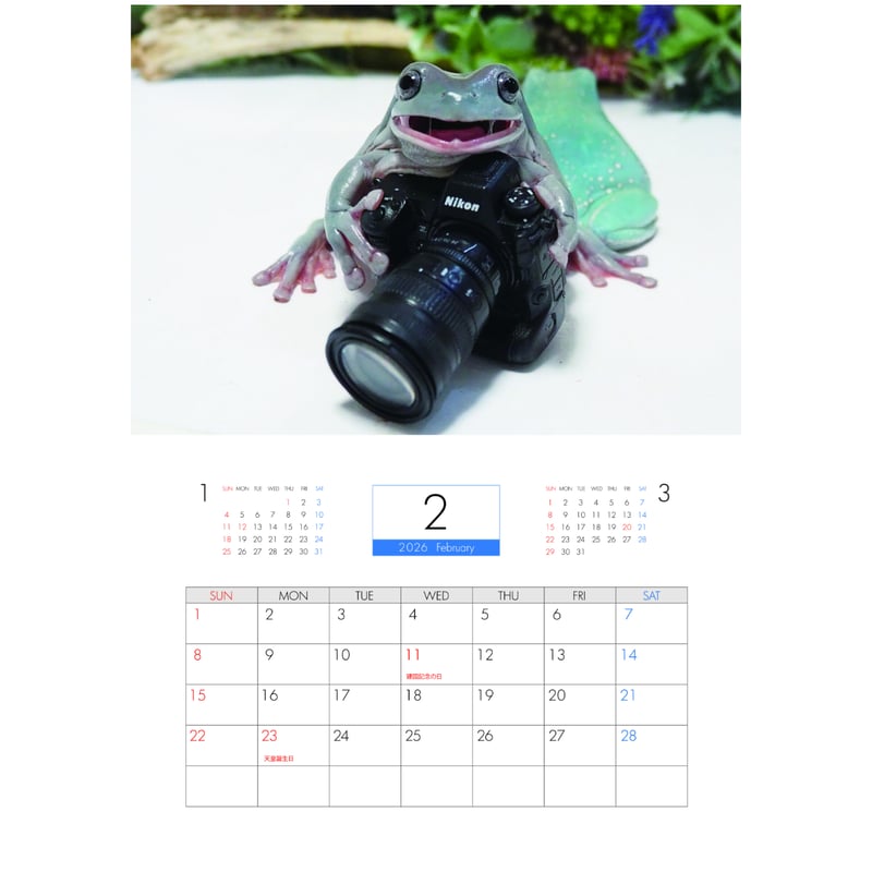 予約販売】 ぴよのカエル 2026年 壁掛け カレンダー KK26024 | ANISTAR