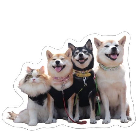【予約販売】 柴犬 モカ＆アン＆サラ シール 5枚セット SE005NN