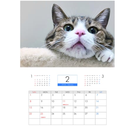 【予約販売】 すずめ＆うなぎ 猫 2026年 壁掛けカレンダー KA26091