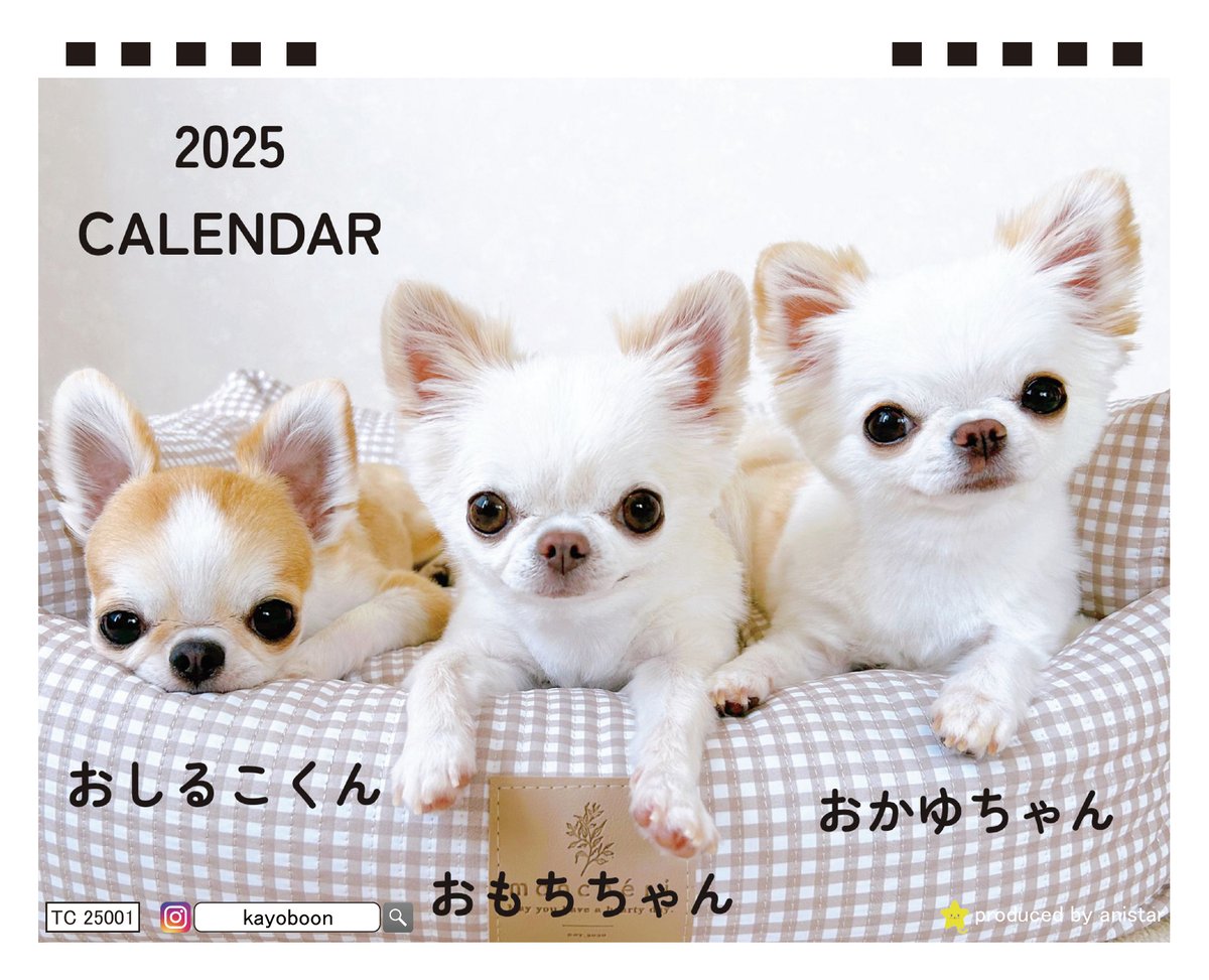 ゆか様　チワワちゃんオーダー こんにちは🐶 とっても可愛い#チワワ ちゃんのご紹介です