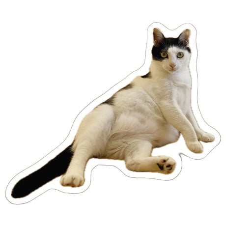 【予約販売】 猫のウルン＆リコリン シール 5枚セット SE021NN