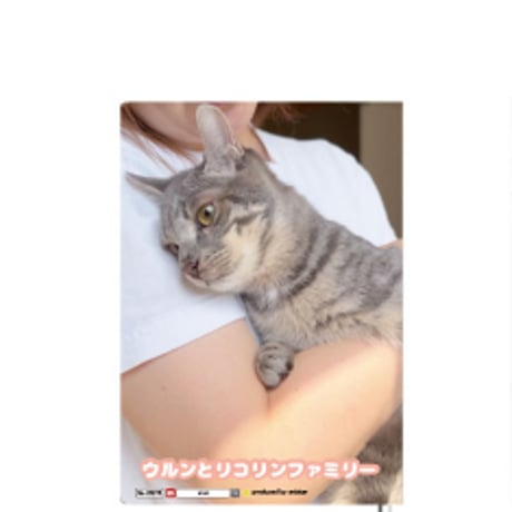 【予約販売】 猫のウルン＆リコリン 2025年 A5ノート帳 No25275
