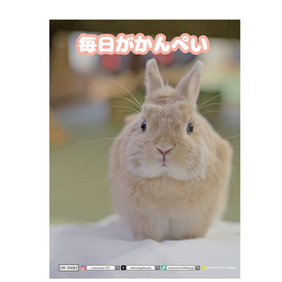 66dafcb29ecd340001a204c6