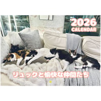 【予約販売】 リュックと愉快な仲間たち 猫 2026年 壁掛け カレンダー KK26337