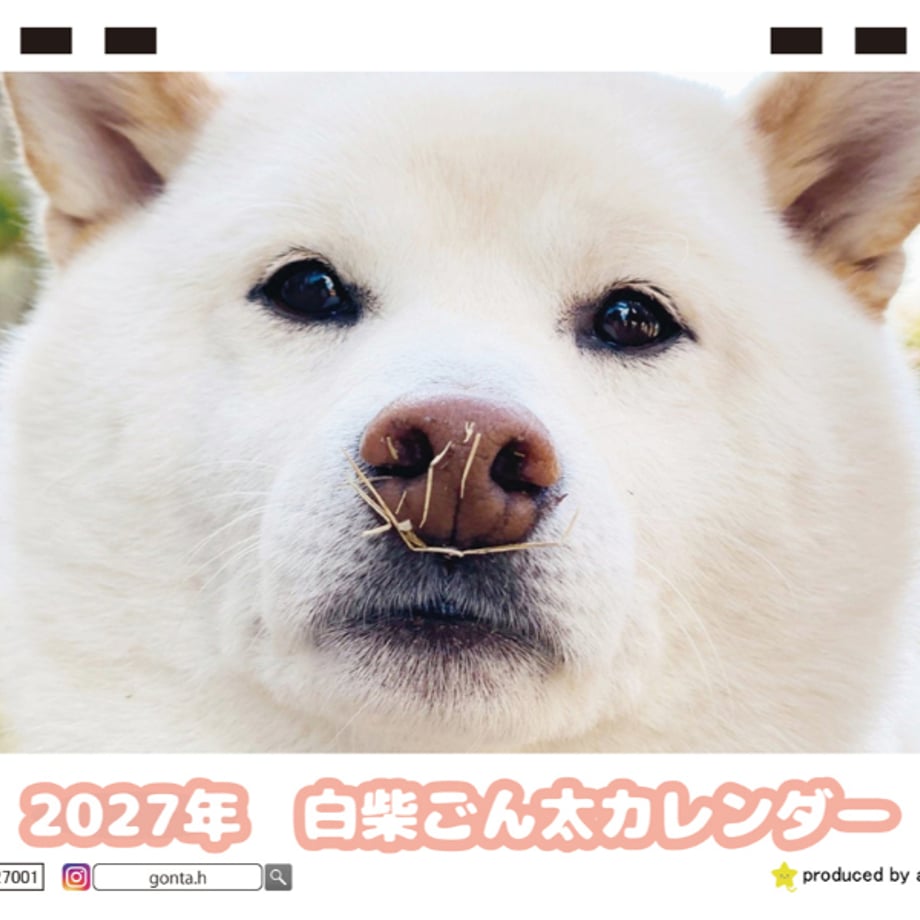 6a9961a3d356f700019cc182