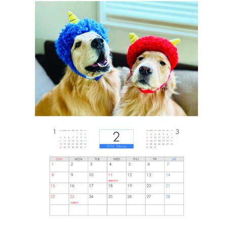 【予約販売】 コメ&イクラ ゴールデンレトリバー 犬 2026年 壁掛け カレンダー KK26285