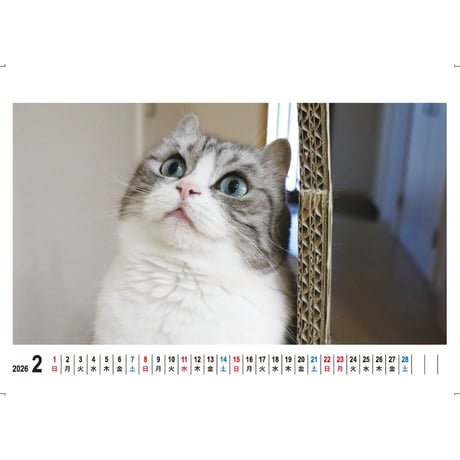 【予約販売】 猫のこまる 2026年 卓上カレンダー TC26139