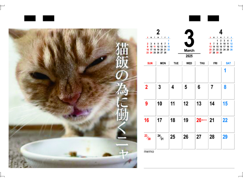 【新品】名前はまだない。 猫 2025 卓上カレンダー直筆サイン入チェキ Amazon.co.jp: アクティブコーポレーション 2025年 カレンダー