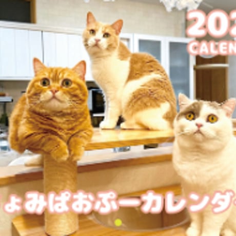 CATEGORY ちょみぱおぷー | ANISTAR