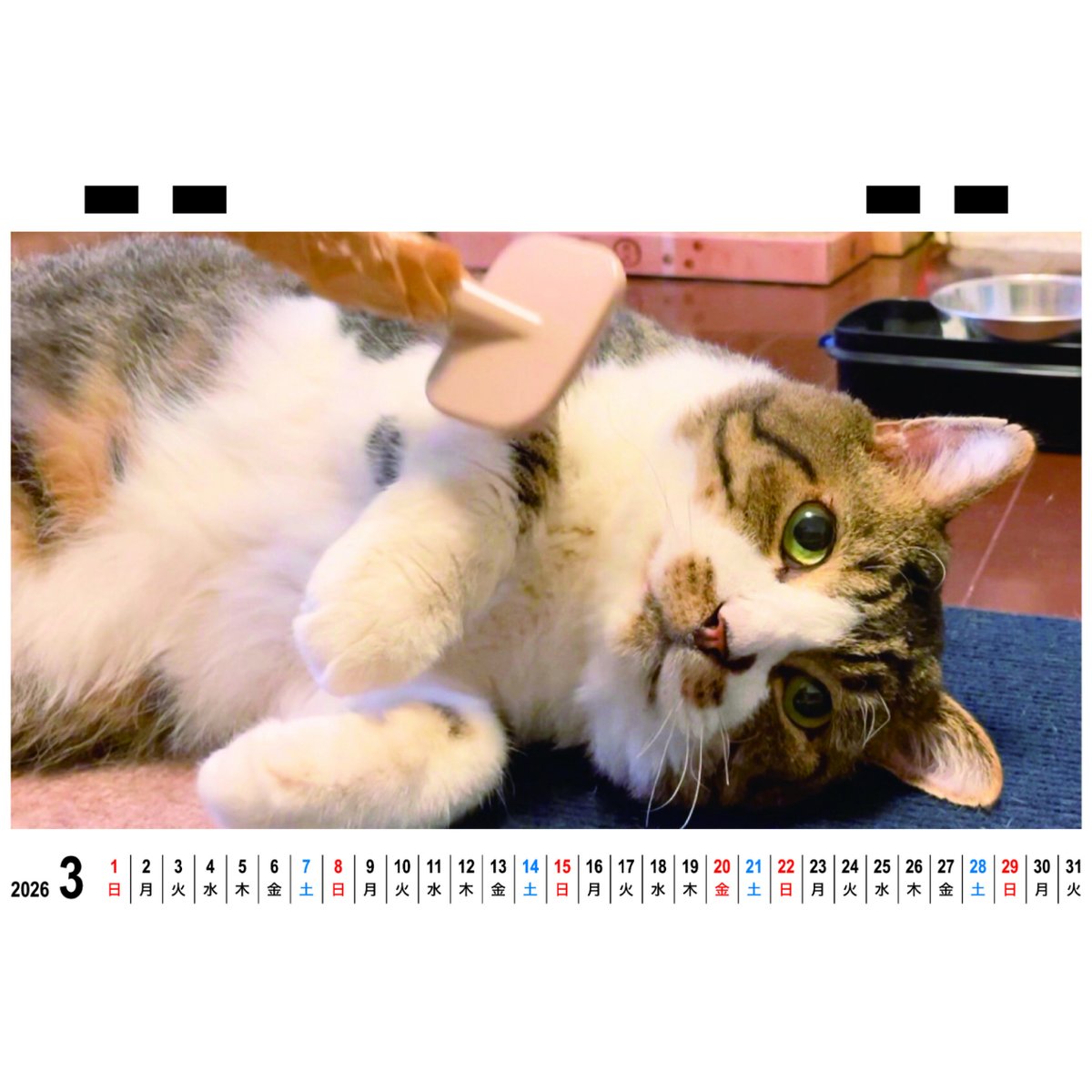 猫千代　1002 猫千代 1002 猫千代 1002 猫千代 1002 カード検索 ｜ Z/X - Zillions