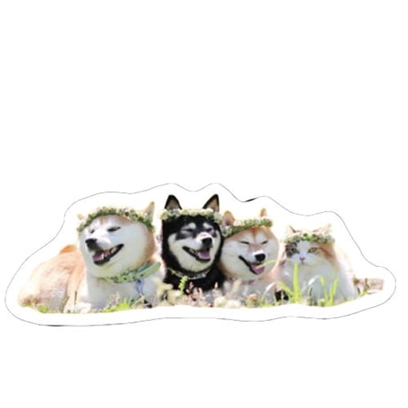 【予約販売】 柴犬 モカ＆アン＆サラ シール 5枚セット SE005NN