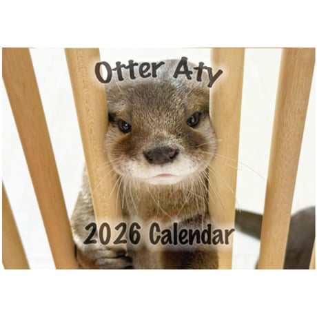 【予約販売】 カワウソ ATY 2026年 壁掛け カレンダー KK26362