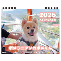【予約販売】 ポメラニアンのポメくん 犬 2026年 卓上全面 カレンダー TA26346