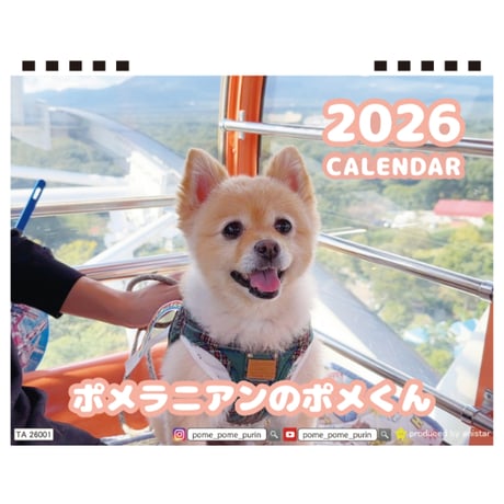【予約販売】 ポメラニアンのポメくん 犬 2026年 卓上全面 カレンダー TA26346