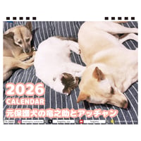 【予約販売】 元保護犬の竜之助とアッチャン 2026年 卓上 カレンダー TC26296