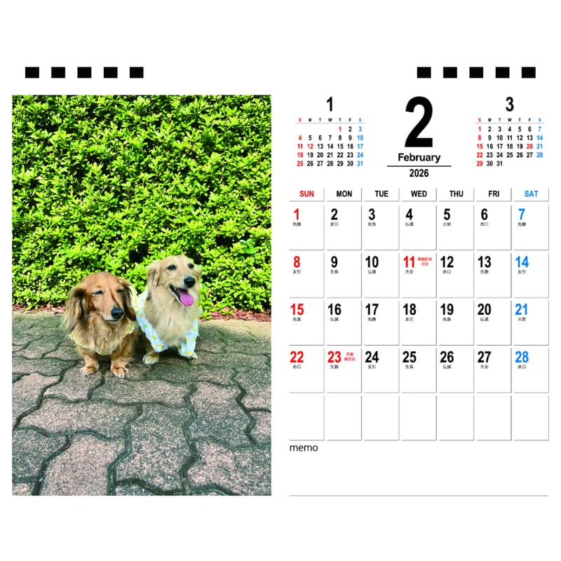 予約販売】 ローちゃん ミッちゃん ダックスフンド 犬 2026年 卓上半面