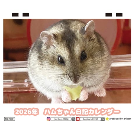 【予約販売】 ハムちゃん日記 ハムスター 2026年 卓上カレンダー TC26237