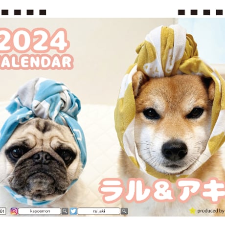 【予約販売】 パグと柴犬のラル＆アキ 2024年 卓上 カレンダー TC24185