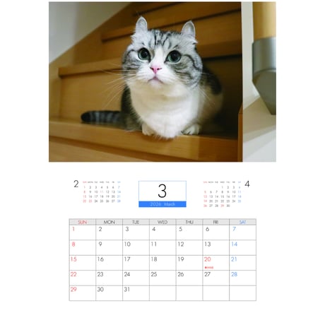 【予約販売】 猫のこまる 2026年 壁掛けカレンダー KA26138