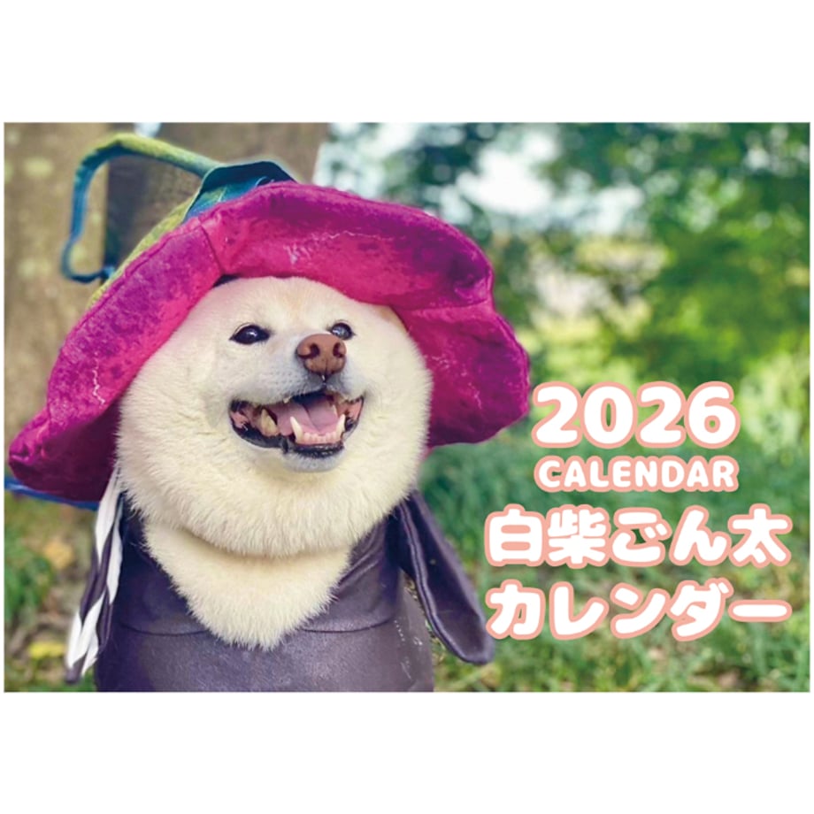 68b8ddd724537cfa139a2b9d