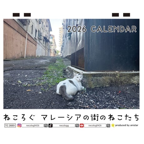 【予約販売】 ねころぐ マレーシアの街のねこたち 猫 2026年 卓上 カレンダー TC26320
