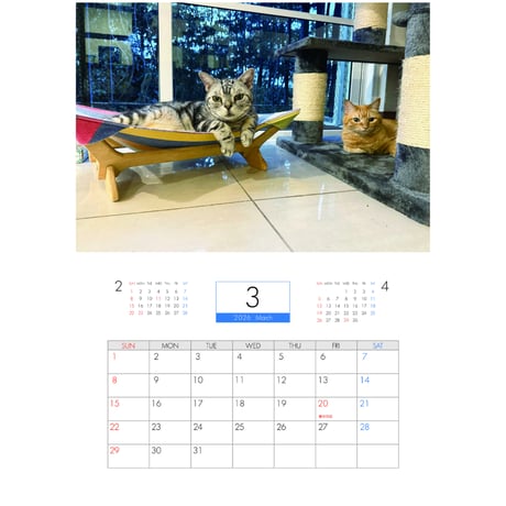 【予約販売】 ねころぐ 猫 2026年 壁掛け カレンダー KK26319